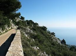 LE COMTE DE NICE EN IMAGES - PARC DEPARTEMENTAL DE LA REVERE - Les photos  du Comté de Nice.