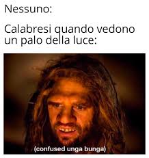 The funniest page on the internet. Scimmie Delo Sud Memesita