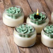 They are perfect for home decoration or burning. Succulent Candle Project Bramble Berry