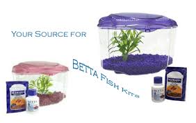 Ready to add a tank mate for your betta fish today? Betta Fish Food Betta Fish Feeding Tips