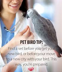 Types Of Birds You Can Have As Pets As A Pet Parent You Know Your Bird S Health Is A Top Priority It Starts With Being Prepared Pet Bird Pets Parrot Pet