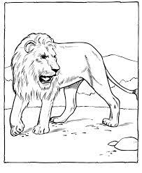 Enjoy these free coloring pages to color, paint or crafty educational projects for young children, preschool, kindergarten and early elementary. Free Printable Lion Coloring Pages For Kids