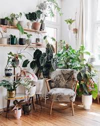 Looking for the best indoor trees to grow in your living room? Perfect Plant Corner To Hang Out Plants Spark Joy