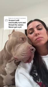 Nicole Morey Pitbull