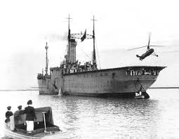 Image result for Mountain Brown 1934 Fleet