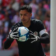 Hola amigos aquí jovanni (ch14) les habla, pumas unam es mi equipo favorito de la liga mx, lo en los primeros años de la década, arturo chávez respaldó la llegada de importantes refuerzos. Ballena Azul Senado Bateria Pumas Unam Refuerzos Cortar A Tajos Violeta Algo