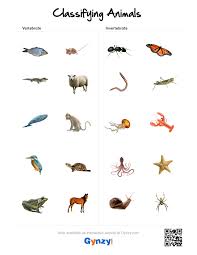 Vertebrate Or Invertebrate Https R Gynzy Com 285e12fa Pdf Worksheet Https R Gynzy Co Smart Board Lessons Classifying Animals Lessons Activities
