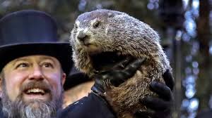 Happy Groundhog's Day. Or is it? Seems like every day has been Groundhog  Day for the last year. Okay, time to go back in our burrows for six more  weeks of winter. #