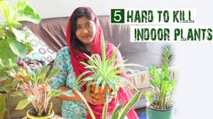 Visit us today to see our amazing selection. How To Make Cement Pot At 20 Easy Cement Pot Plant Stand Diy In Malayalam Diy Cement Planter Youtube