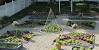 Front Yard Vegetable Garden