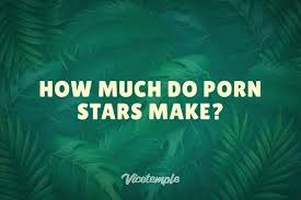 How Much Do Porn Stars Make? | Vicetemple