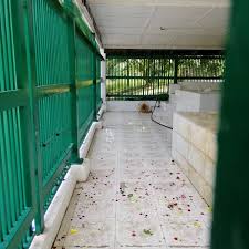 Ana faqir (2008), menyingkap misteri pulau besar, kuala lumpur: Photos At Pulau Besar Melaka Melaka Melaka