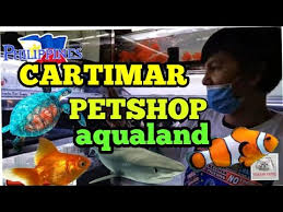 Cartimar Best Petshop In The World Aqualand Fish For Sale Vlog 64 Youtube