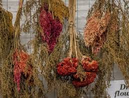 Maybe you would like to learn more about one of these? Flowers At The Central Market In Lancaster Pa Dried Flowers Flowers Central Market