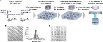 June 24, 2014 · by fashionscopesblog · in astrology. Double Emulsion Pretreated Microwell Culture For The In Vitro Production Of Multicellular Spheroids And Their In Situ Analysis Microsystems Nanoengineering