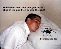 Remember That Time You Threw A Shoe At Me Spiders Funny Funny Pictures Funny Photos