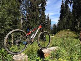 Jun 16, 2021 · courtesy the american diabetes associationnorth kingstown, r.i. Cross Country Mountain Bikes Vs Trail Mountain Bikes Blue Sky Cycling