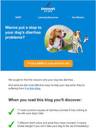 Innovet Pet How To Put A Stop To Your Dog S Diarrhea Milled