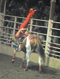 Trixie Chicks Trick Riders Www Trxchx Com Katy Tennison Performing The Shoulder Stand At Washington Paris Trick Riding Vaulting Equestrian Equestrian Riding