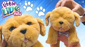 Little Live Pets Snuggles My Dream Puppy Playset Https Www Youtube Com Watch V Hsnee47rnza Little Live Pets Dog Toys Toy Puppies