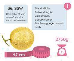 Allerdings nach einleitung da ich über et war. 36 Ssw Schwangerschaftswoche