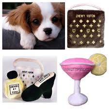 Or maybe you want to send a basket as congrats on a new furbaby our gift baskets combine adorable toys in a variety of combinations to bring joy to pets and the people who love them. Cavalier King Charles Spaniel Puppy Chewy Vuitton Dog Bed Cute Dog Toys Chewnel N5 Jimm King Charles Cavalier Spaniel Puppy Cute Dog Toys Spaniel Puppies