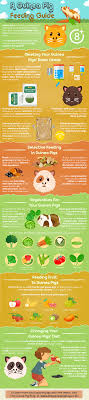 Want To Know More About The Diet Of Guinea Pigs Or Want A
