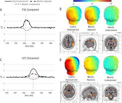 An Exploratory High-Density EEG Investigation of the Misinformation Effect:  Attentional and Recollective Differences between Tru