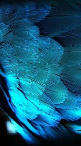 Blue Hd Peacock Feathers Android Wallpaper Best Iphone Wallpapers Hd Wallpaper Iphone Samsung Wallpaper