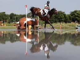 Fouaad mirza (born 6 march 1992) is an indian equestrian who won silver medals in both individual eventing and team eventing at the 2018 asian games.he became the first indian since 1982 to win a medal at an individual equestrian event at the asian games. Bwxqscebs4q82m