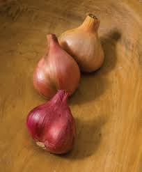 Growing shallots indoors in pots in a site that receives at least six hours of. Growing Shallots From Seed Sowing Care Harvest Johnny S Selected Seeds