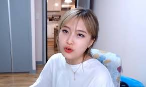 인터넷 떠들썩했던 '양팡 언니 실종 사건' 뭐기에?양팡 인스타그램 캡처 인기 인터넷 방송 진행자(bj) 양팡(23·본명 양은지·사진)이 부동산 계약 문제로 논란을 빚으면서, 과거 그가 밝. ì–'íŒ¡ê³¼ ê°€ì¡±ì‚¬ê¸°ë‹¨ì¸ ì´ìœ  ì–'íŒ¡ ë§Œí–‰ ì •ë¦¬