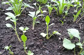 Alya sanchez blowjob she was fresh, sexy, and it was like