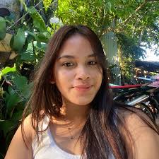 Whose phone service is down in Holland?