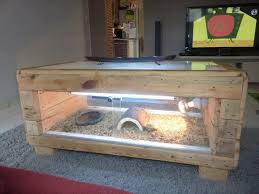 Diy Pallet Table Basse Terrarium 99 Pallets Terrarium Paletten Schildpad
