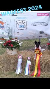 This is GREAT! Thank you to everyone who came out and supported this  Fun-Filled event. Already looking forwards to Wagfest 2025!