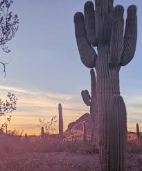 The property is 3.1 mi from odysea aquarium and 8.1 mi from desert botanical gardens. Best Places To Visit In Phoenix Az Desert Botanical Garden