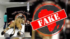 We are licensed and regulated by the new jersey division of gaming enforcement as an internet gaming operator in accordance with the casino control act n.j.s.a. Mgm Lion Strapped Down To Film Logo No Photo Of Lion Getting Cat Scan Africa Check