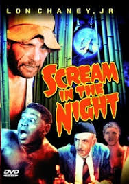 Scream in the Night DVD (A Scream in the Night)