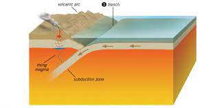 Rd.com knowledge facts nope, it's not the president who appears on the $5 bill. Plate Tectonics Trivia Questions 2 Proprofs Quiz