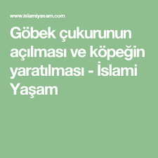 Gobek Cukurunun Acilmasi Ve Kopegin Yaratilmasi Islami Yasam Islam Dualar