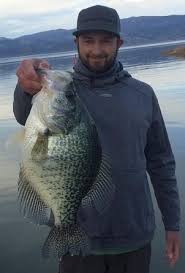 A 2.35 kg (5.2 lb) fish caught on 31 july 1957 by fred brigh in water valley, mississippi, us Huge Crappie Could Be State Record Lake County Record Bee