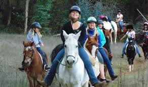 Horse for sale in maryland. Pleasant Valley Horse Club