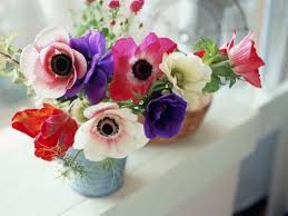 100 greatest modern country songs. 14 Beautiful Types Of Anemone Flowers