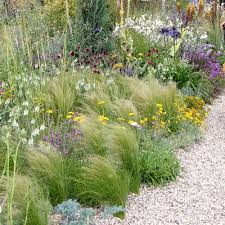 Auf Trendjagd In England Garten Pflanzen Wildblumen Wiese Schoner Garten Bilder