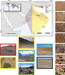 Garden tips 294.189 views2 years ago. Habitat Dependent Composition Of Bacterial And Fungal Communities In Biological Soil Crusts From Oman Scientific Reports