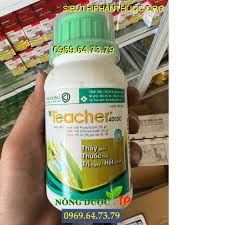 Teacher 400SC.