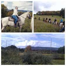 Mountain Trail Rides Canaan Valley West Virginia Product Review Cafe Canaan Valley Trail Riding Mountain Trails