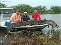 Maybe you would like to learn more about one of these? 7 Texas Alligator Hunting Ideas Alligator Hunting Prehistoric Creatures Hunting