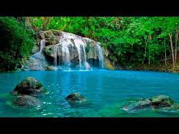 Ver más ideas sobre musica relajante, musica, relajante. Pensamento Positivo Musicas Para Relaxar O Corpo Ea Mente Musica Calma Para Meditacao Youtube Musica Para Relaxar Musica Relaxante Musicas Para Acalmar